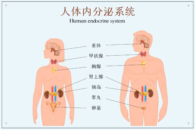 劍指水質典型環境激素，助力新污染物監測治理